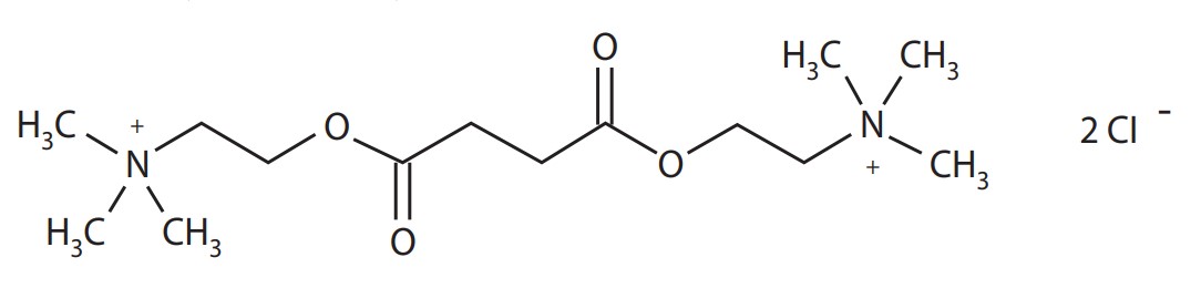 Pill image for These Highlights Do Not Include All The Information Needed To Use succinylcholine chloride Injection Safely And Effectively.