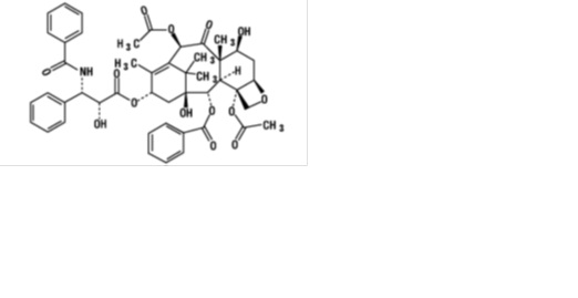 Pill image for Paclitaxel Injection
