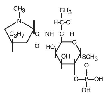Pill image for clindamycin phosphate topical solution usp, 1% (pledgets)