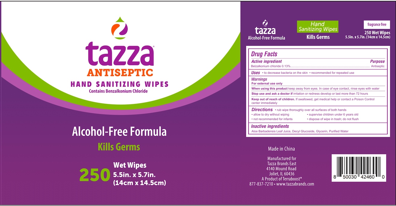 Pill image for tazza antiseptic hand sanitizing wipes (14 cm x 14.5 cm)