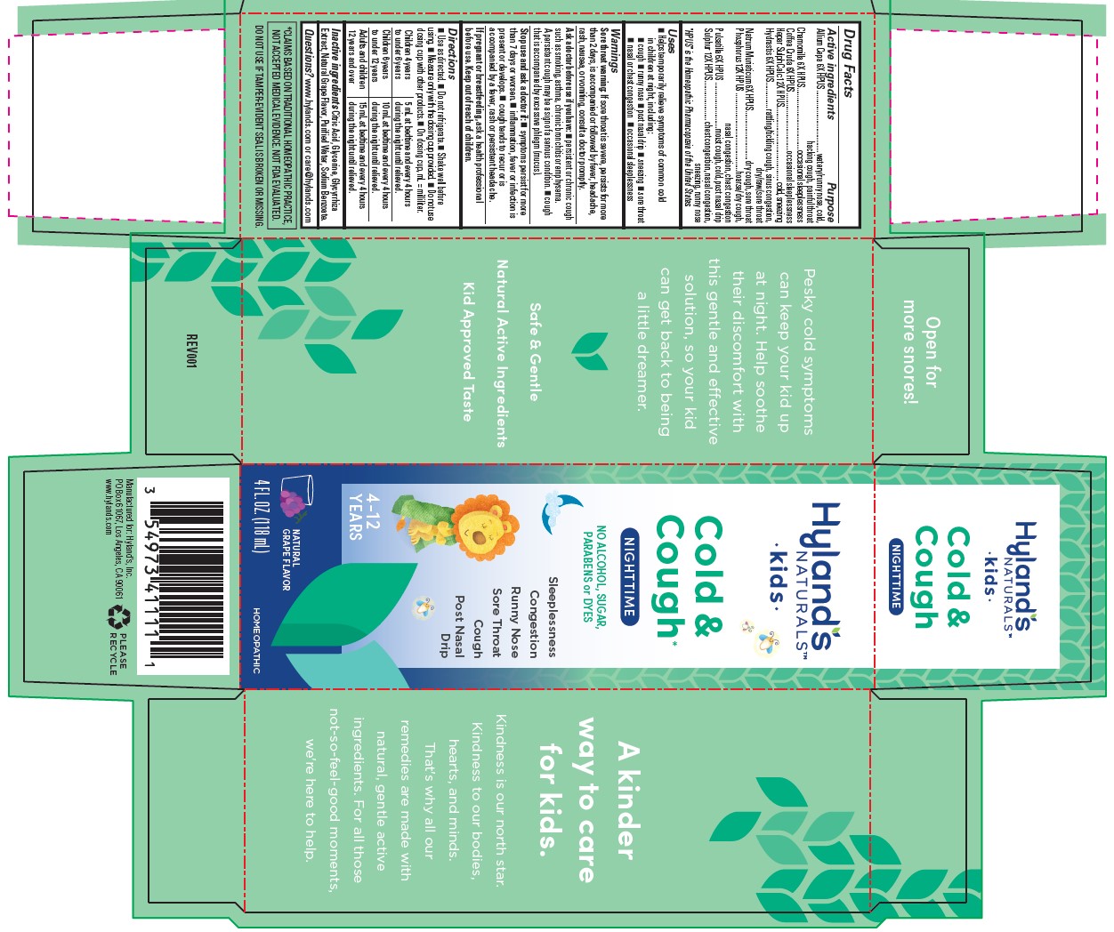 Pill image for Hyland's Naturals Kids Cold & Cough Nighttime Natural Grape Flavor