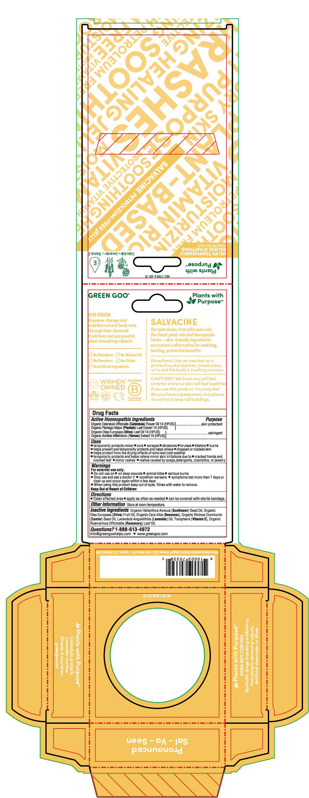 Pill image for Salvacine Homeopathic Salve