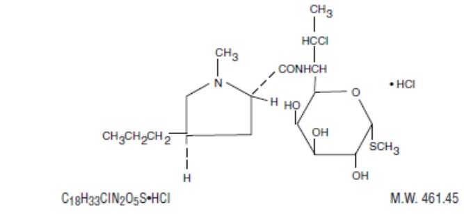 Pill image for Clindamycin Hydrochloride Capsules, Usp
