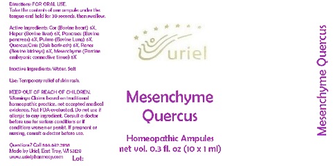Pill image for Mesenchyme Quercus