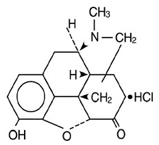 Pill image for These Highlights Do Not Include All The Information Needed To Use Hydromorphone Hydrochloride Oral Solution Safely And Effectively. See Full Prescribing Information For Hydromorphone Hydrochloride Oral Solution.