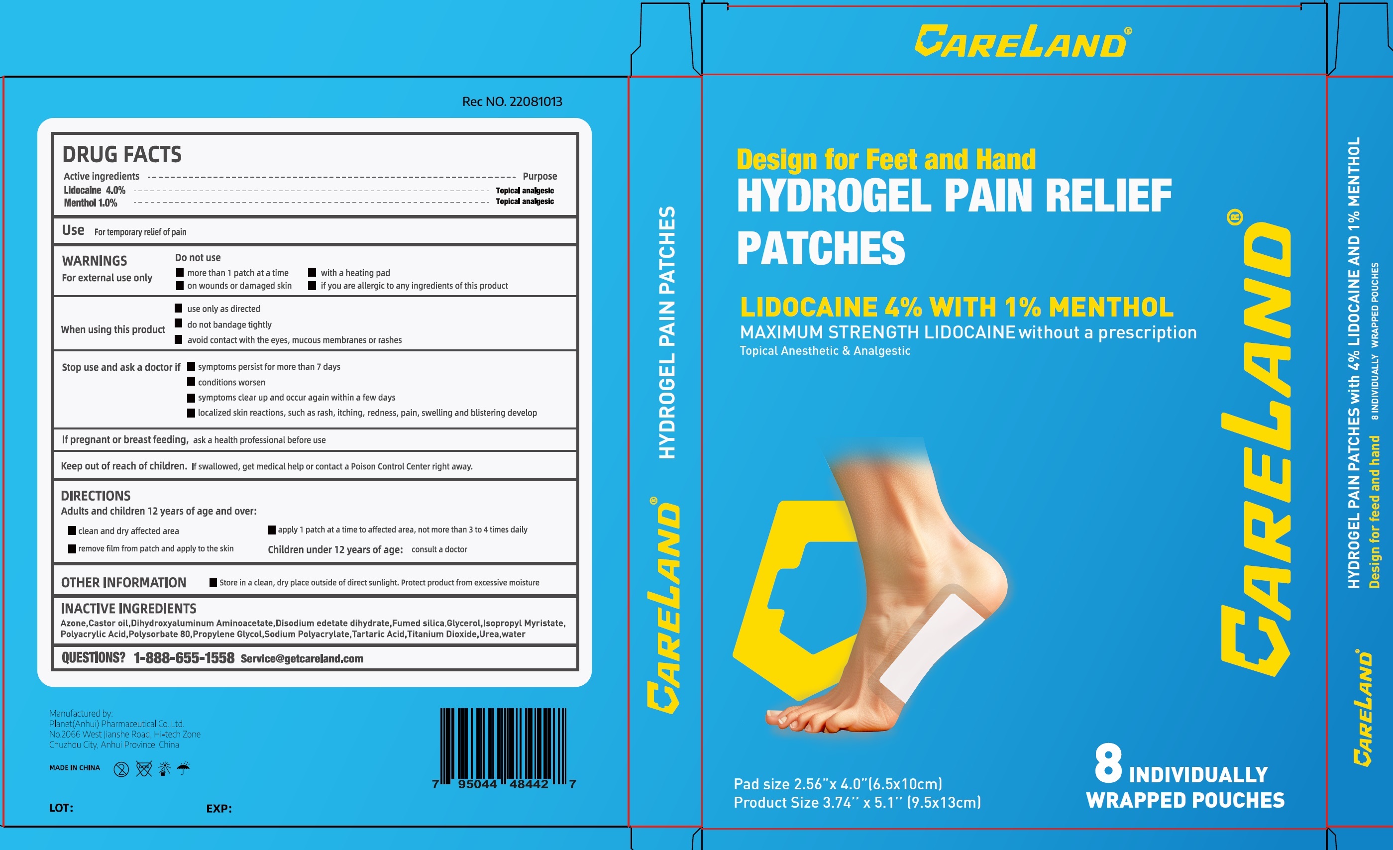 Pill image for Careland Hydrogel Pain Relief Patches