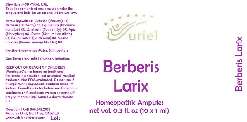 Pill image for Berberis Larix