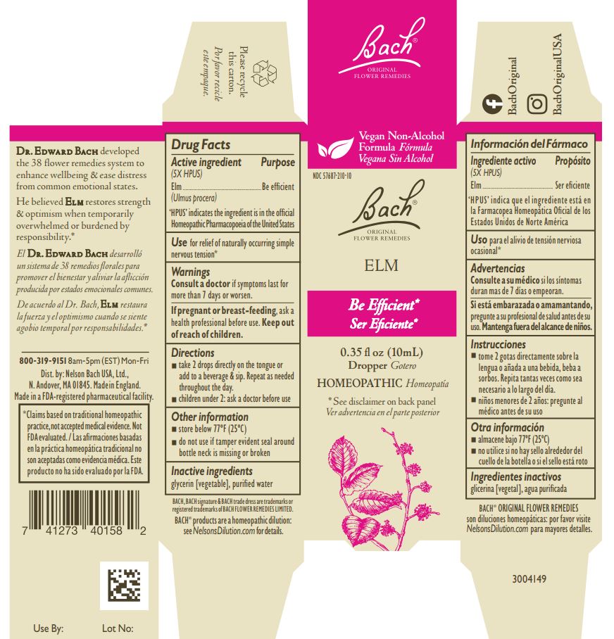 Pill image for Bach Original Flower Remedies Elm