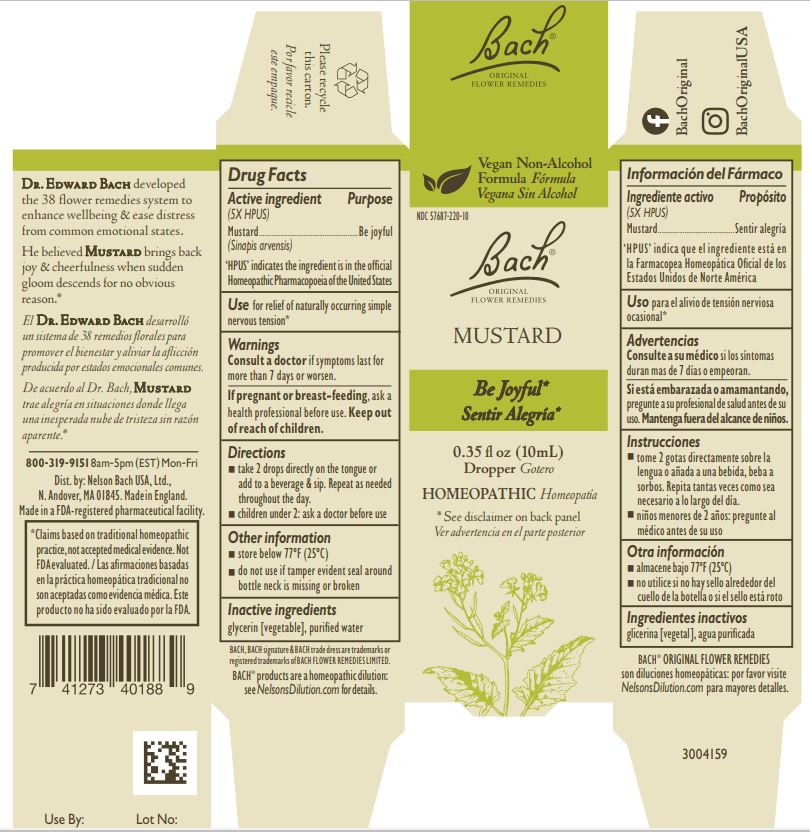 Pill image for Bach Original Flower Remedies Mustard