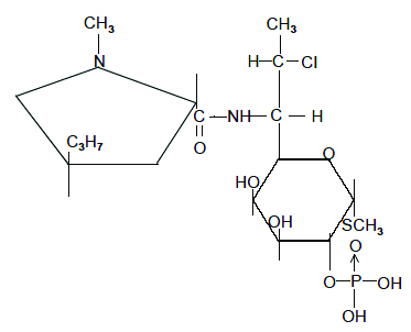 Pill image for Clindamycin Phosphate Gel Usp, 1%