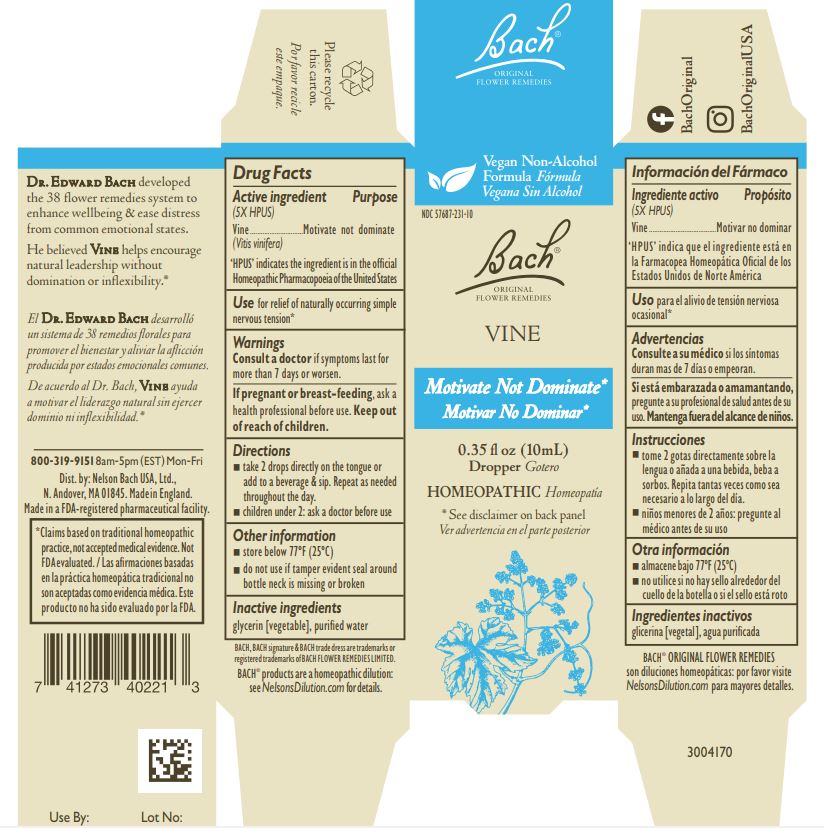 Pill image for bach original flower remedies vine
