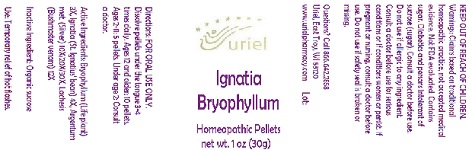 Pill image for Ignatia Bryophyllum