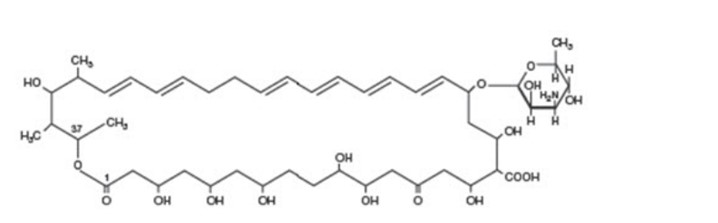 Pill image for Nystatin Oral Suspension Usp