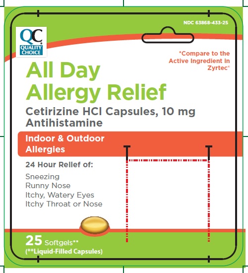 Pill image for Drug Facts