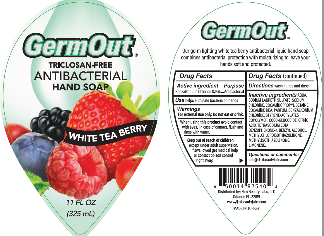Pill image for Antibacterial, Triclosan Free- Germout Hand Soap- White Tea Berry