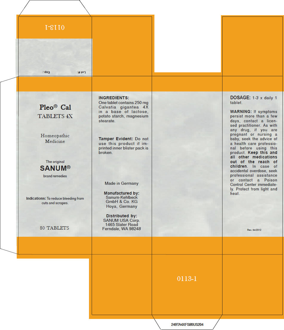 Pill image for pleo®
