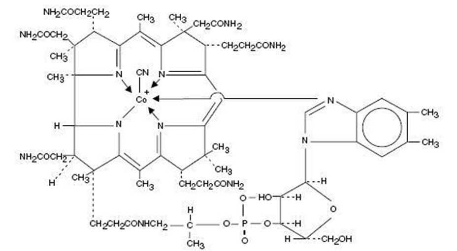 Pill image for These Highlights Do Not Include All The Information Needed To Use Cyanocobalamin Nasal Spray Safely And Effectively. See Full Prescribing Information For Cyanocobalamin Nasal Spray Initial U.s. Approval: [1942]