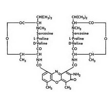 Pill image for These Highlights Do Not Include All The Information Needed To Use Dactinomycin For Injection Safely And Effectively. See Full Prescribing Information For Dactinomycin For Injection.