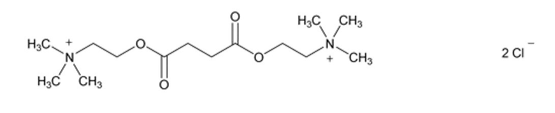 Pill image for These Highlights Do Not Include All The Information Needed To Use Succinylcholine Chloride Injection Safely And Effectively. See Full Prescribing Information For Succinylcholine Chloride Injection
