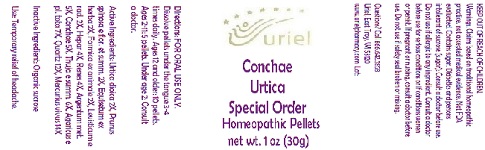 Pill image for Conchae Urtica Special Order