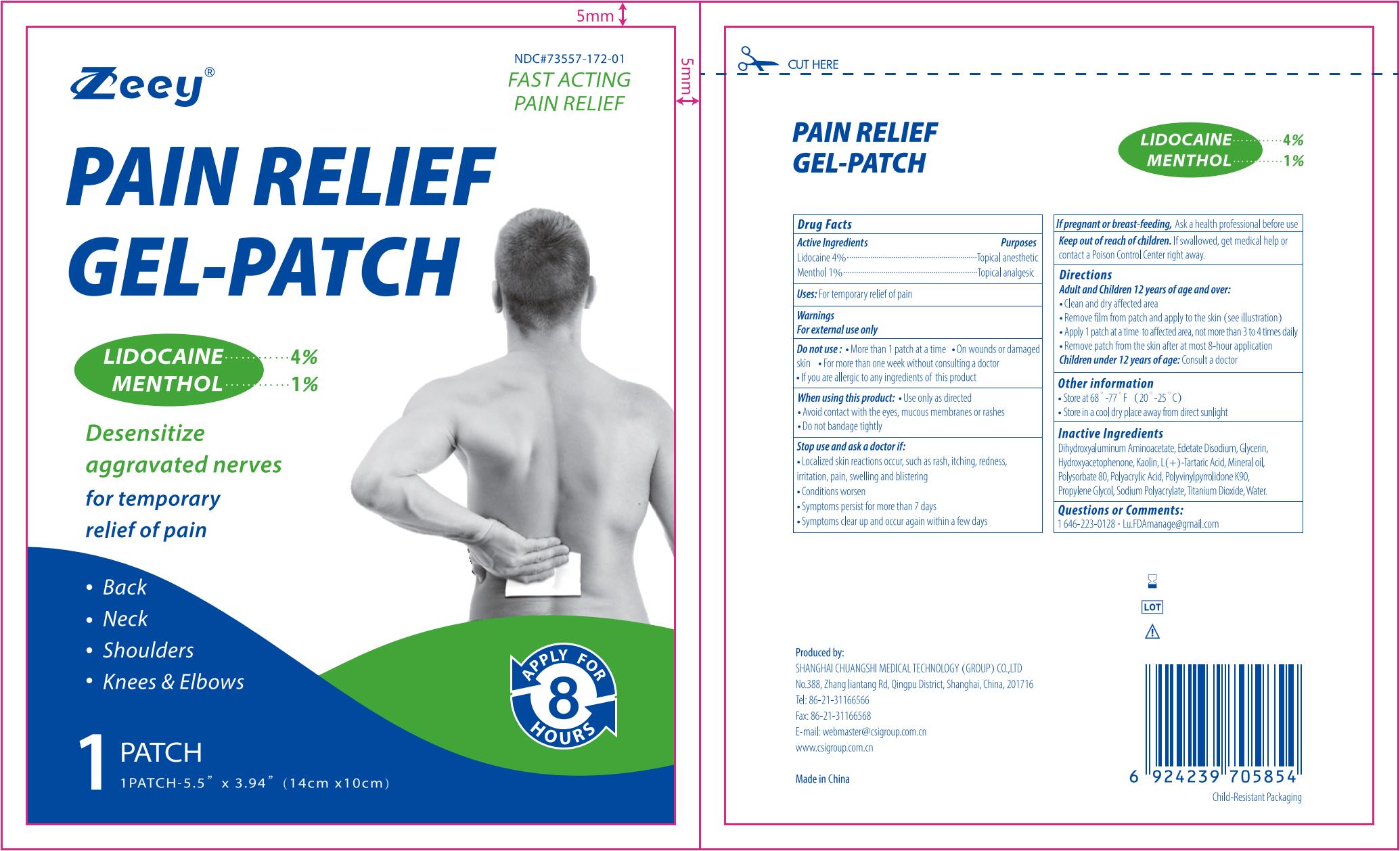 Pill image for Zeey, Lidocaine&menthol Pain Relief Gel-patch, N 5, N 10, N 15