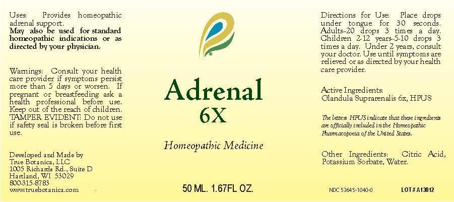Pill image for Adrenal 6x