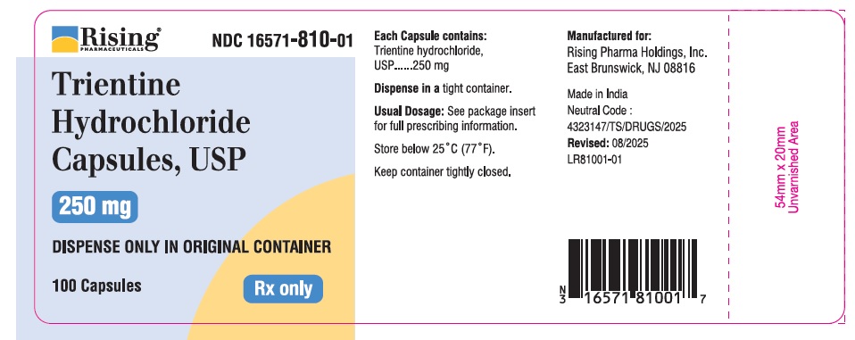 Pill image for Trientine Hydrochloride Capsules, Usp