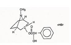 Pill image for Homatropine Hydrobromide Ophthalmic Solution, Usp