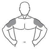 Pill image for These Highlights Do Not Include All The Information Needed To Use Androgel 1.62% Safely And Effectively. See Full Prescribing Information For Androgel 1.62%.