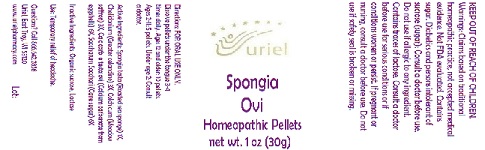 Pill image for Spongia Ovi