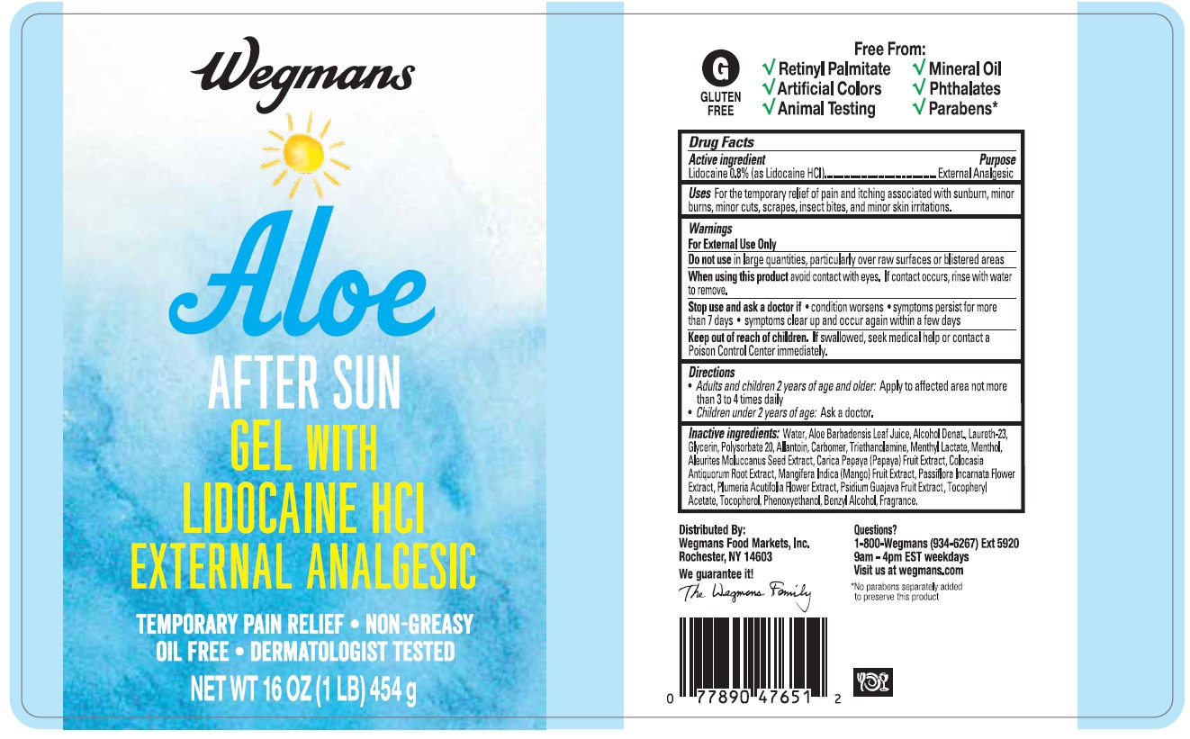 Pill image for Wegmans Aloe After Sun Gel With Lidocaine Hcl External Analgesic
