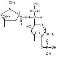 Pill image for Clindamycin Phosphate Topical Solution, Usp