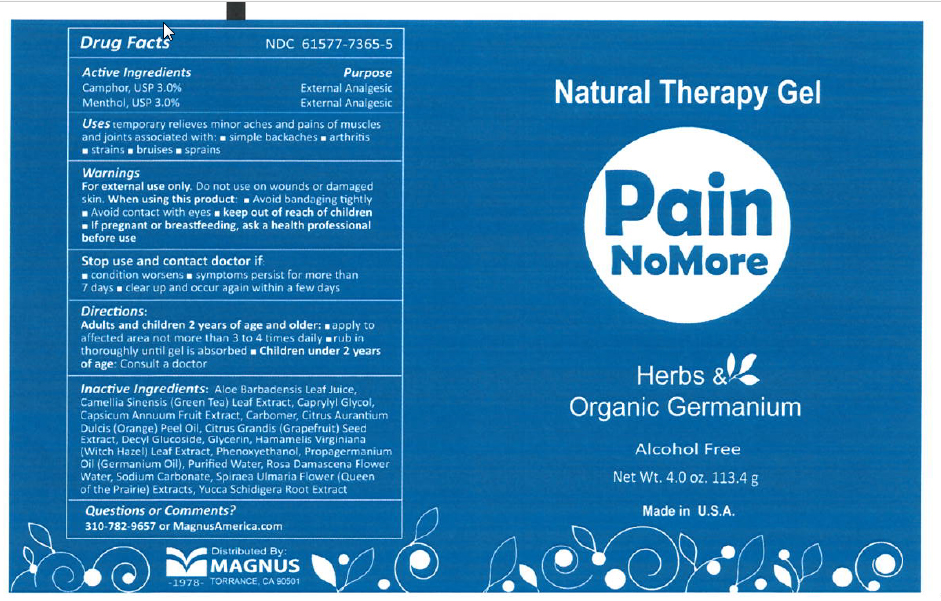 Pill image for Pain No More Natural Therapy Gel
