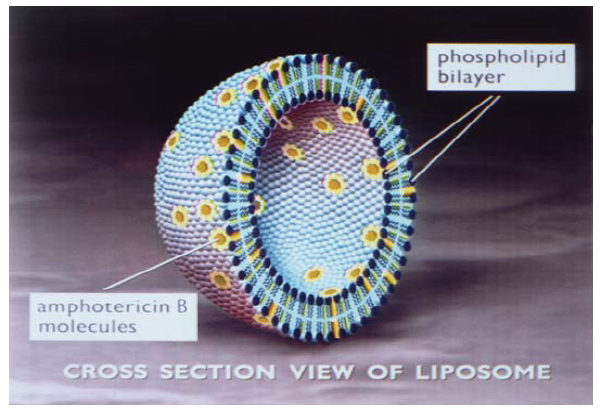 Pill image for Ambisome®