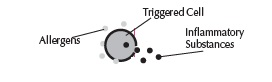 Pill image for topco associates llc. fluticasone propionate nasal spray, usp drug facts