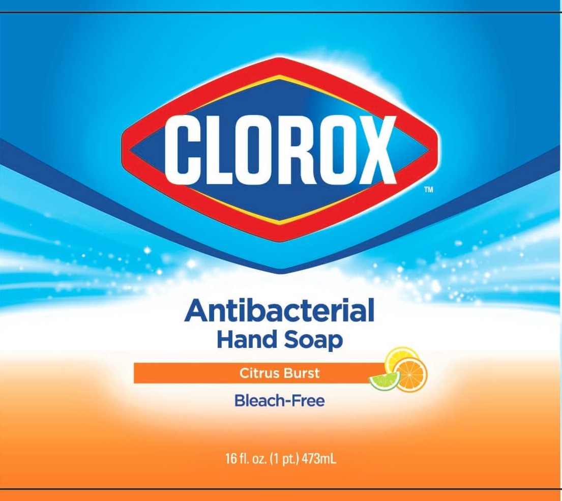Pill image for Clorox ™