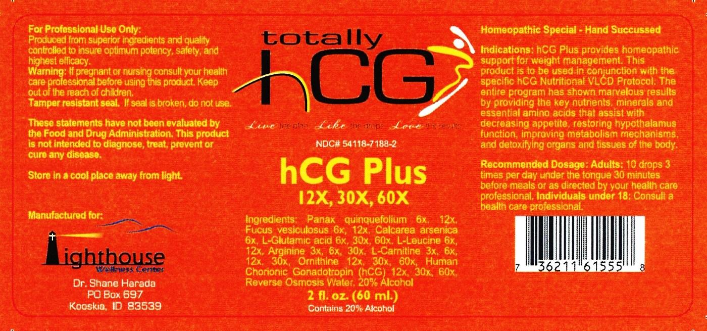 Pill image for Hcg Plus