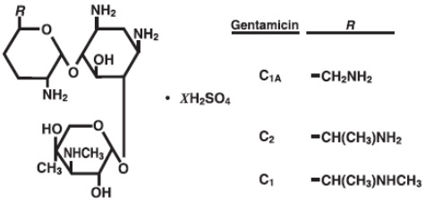 Pill image for Gentamicin Injection, Usp