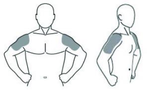 Pill image for These Highlights Do Not Include All The Information Needed To Use Testosterone Gel Safely And Effectively. See Full Prescribing Information For Testosterone Gel.