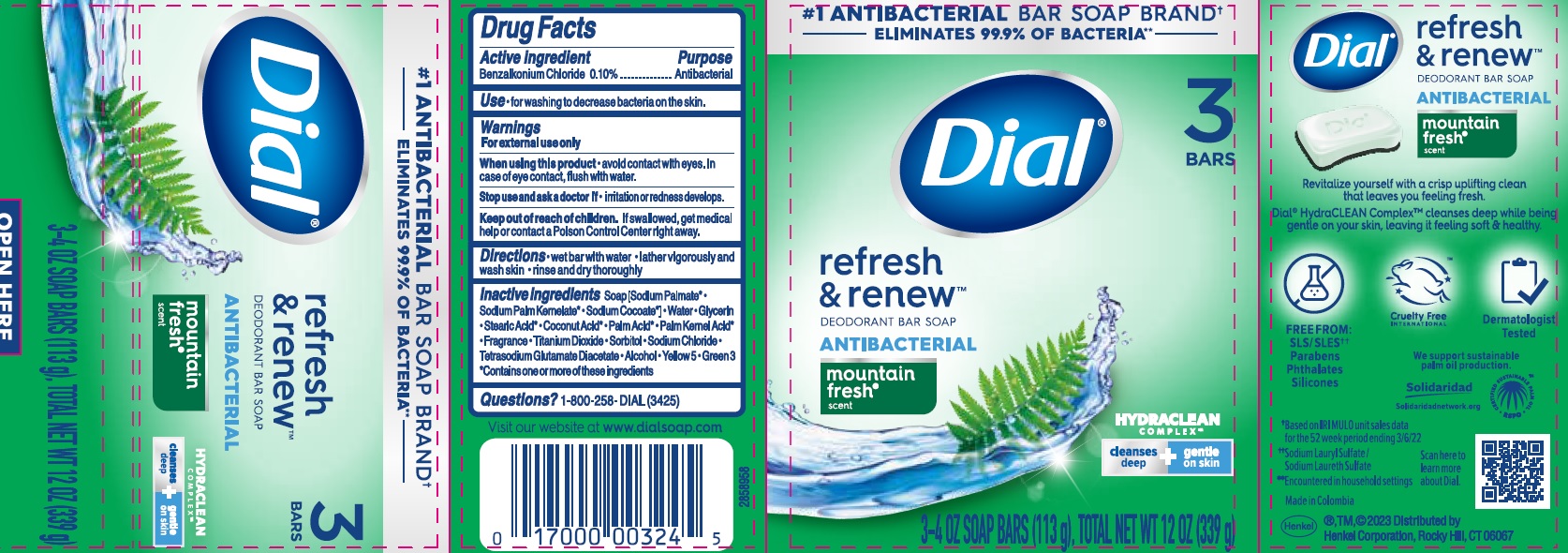 Pill image for Dial Mountain Fresh Antibacterial Soap