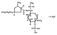 Pill image for cleocin®
