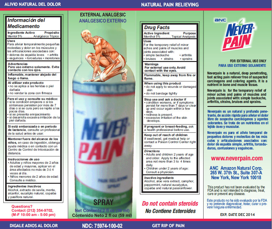 Pill image for Anc Neverpain External Analgesic