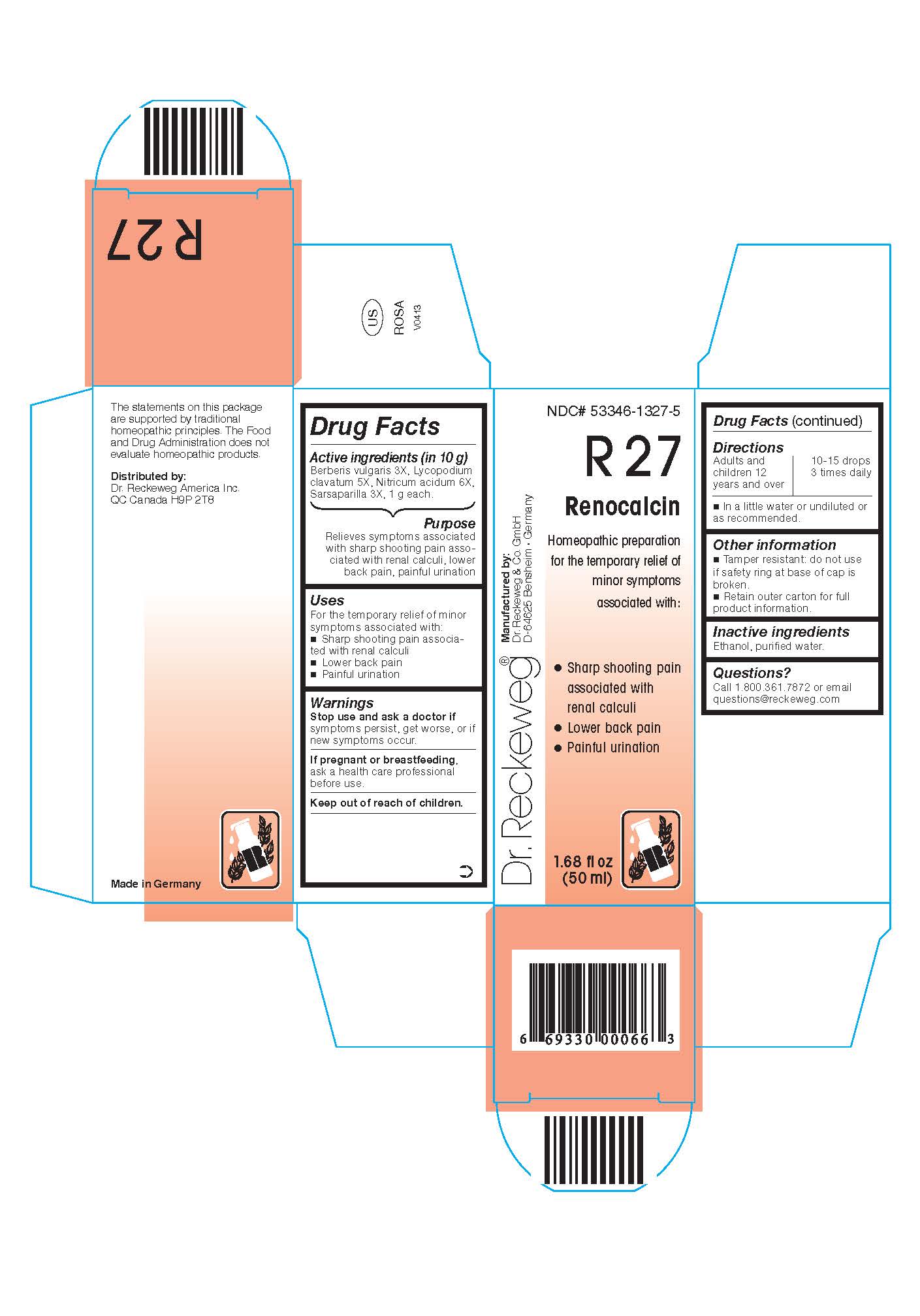 Pill image for Dr. Reckeweg R27 Renocalcin