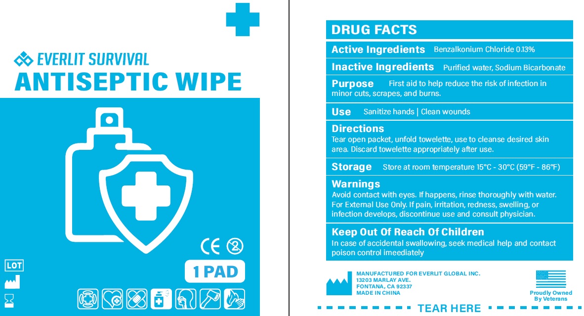 Pill image for Everlit Survival Antiseptic Wipe