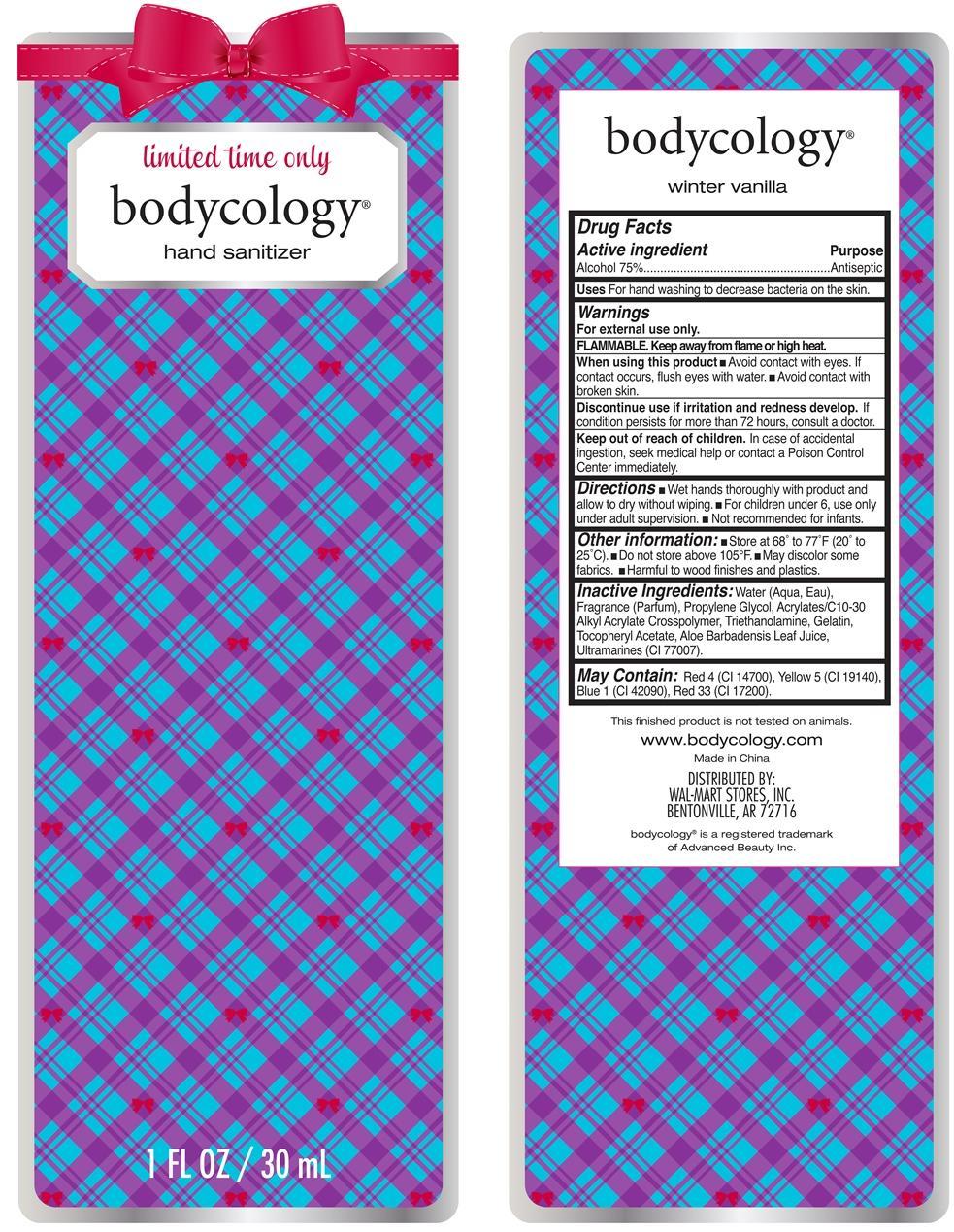 Pill image for Winter Vanilla Hand Sanitizer