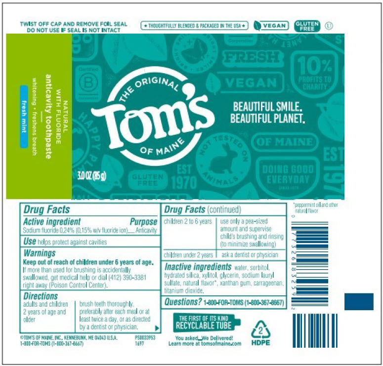 Pill image for Natural Fluoride Toothpaste, Fresh Mint