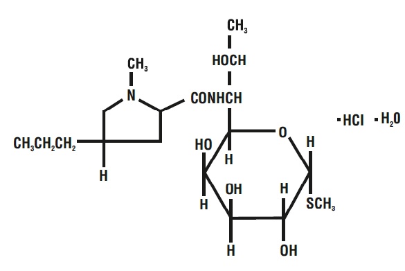 Pill image for Lincomycin Injection, Usp