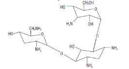 Pill image for These Highlights Do Not Include All The Information Needed To Use Tobramycin Inhalation Solution Safely And Effectively. See Full Prescribing Information For