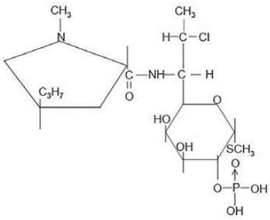 Pill image for Clindamycin Phosphate Gel Usp, 1%