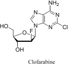 Pill image for These Highlights Do Not Include All The Information Needed To Use Clofarabine Injection Safely And Effectively. See Full Prescribing Information For Clofarabine Injection.